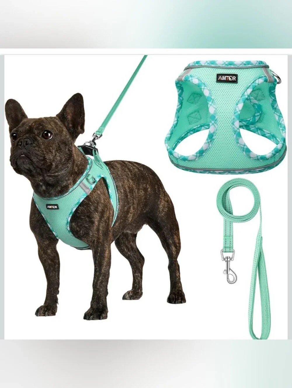 AMTOR Mint Green Dog Harness & Leash Set